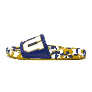 Hype Co. Florida International University Panthers Football Slides